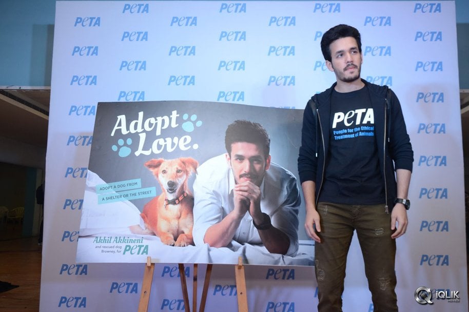 Akhil-Akkineni-at-Peta-Event